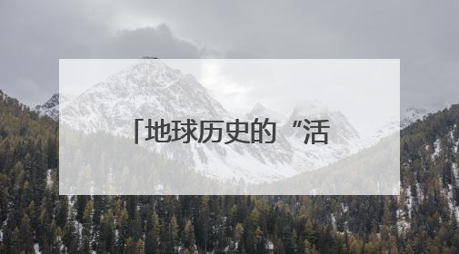 地球历史的“活标本”！4.7亿年前海洋生物“现身”保康